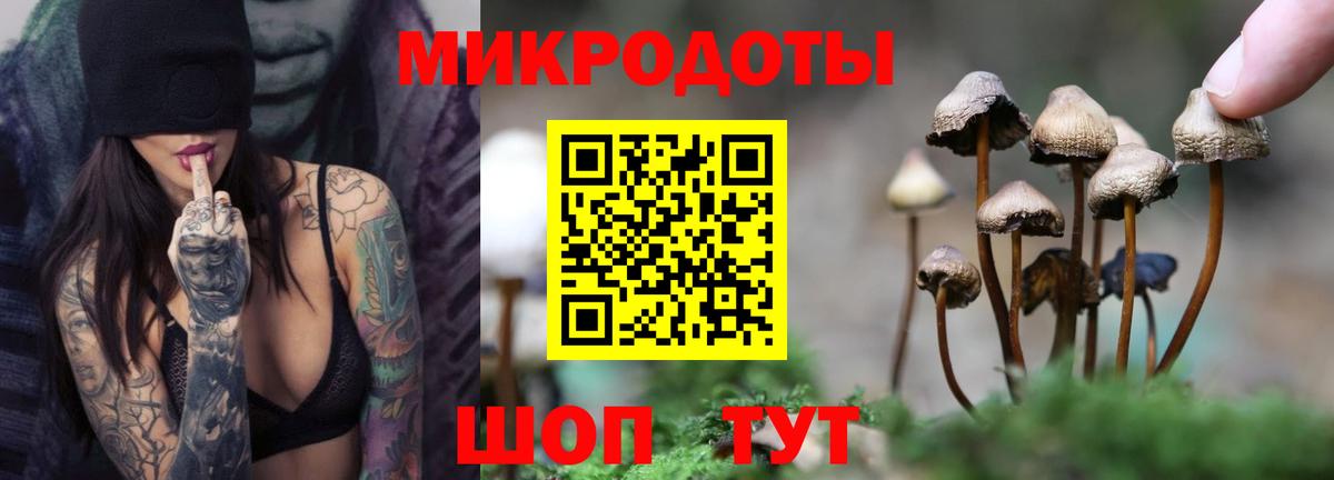 Псилоцибиновые грибы Psilocybine cubensis  Вход с VPN  Псилоцибиновые грибы GOLDEN TEACHER  Горно-Алтайск 